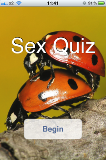 Sex Quiz Sex Quiz