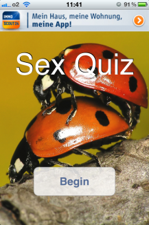 Sex Quiz Free